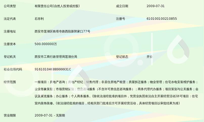 西安峰光房地产营销策划